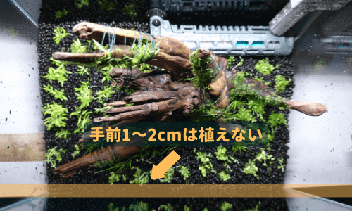 最前面には前景草を植えない