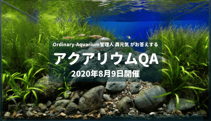 下のソーシャルリンクからフォロー