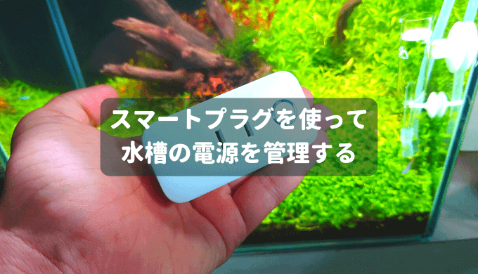 藻類予防に効果大 バイコムアルジガード ー使い方 注意点などを詳しく解説ー Ordinary Aquarium