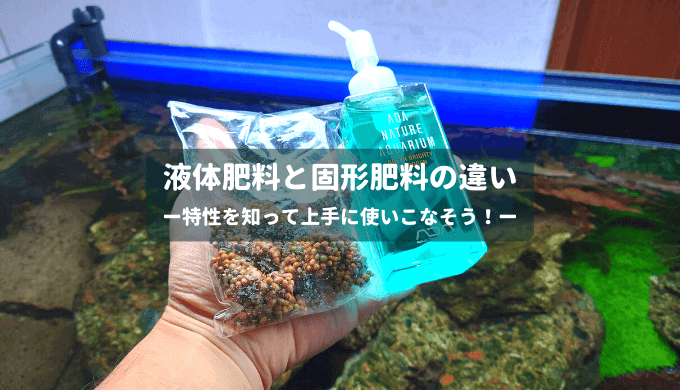 寒さに強い ヒーター無しでも育つ水草14選 Ordinary Aquarium