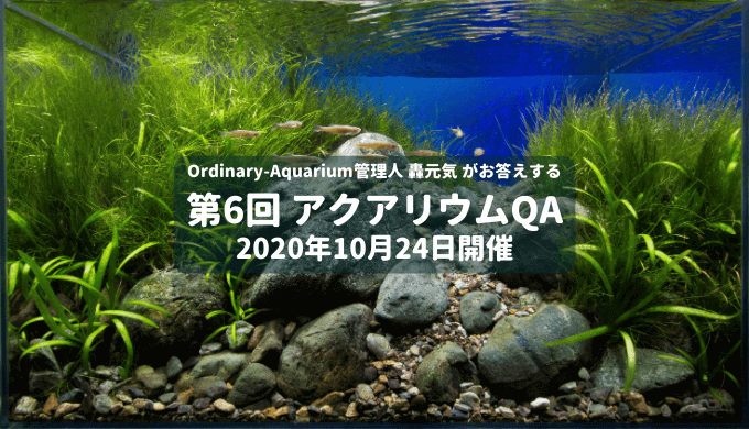 年8月23日開催 アクアリウムqa Ordinary Aquarium