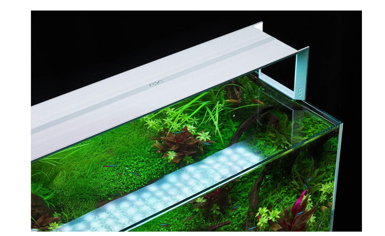 水草水槽の光 ー必要な光量 適切な点灯時間 時間帯などを徹底解説ー Ordinary Aquarium