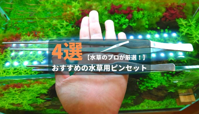 私が水草水槽に活用している園芸肥料 Ordinary Aquarium