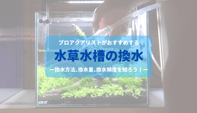 基本メンテナンス 水草水槽の水換え ー換水方法 換水量 換水頻度などを分かりやすく解説ー Ordinary Aquarium