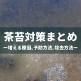 茶苔(珪藻)対策まとめ