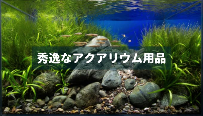 水草のプロが厳選！】本当に使いやすいおすすめの水草用ピンセット4選 | Ordinary-Aquarium