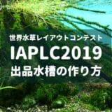 【IAPLC2019】世界水草レイアウトコンテスト 出品水槽の作り方
