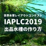 【IAPLC2019】世界水草レイアウトコンテスト 出品水槽の作り方