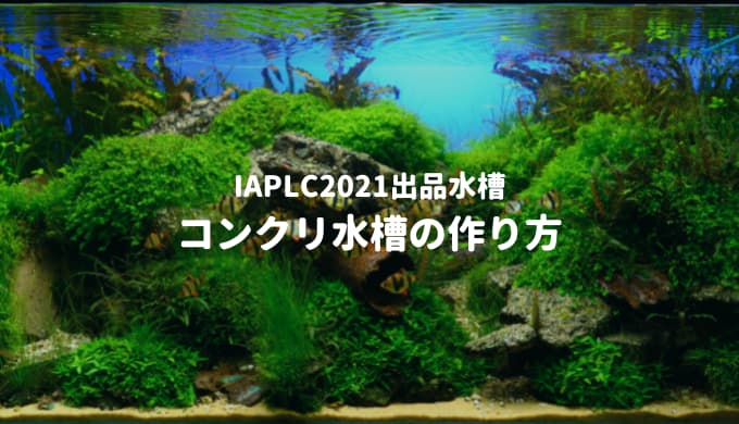 世界水草レイアウトコンテスト Iaplc などコンテスト出品水槽の制作過程