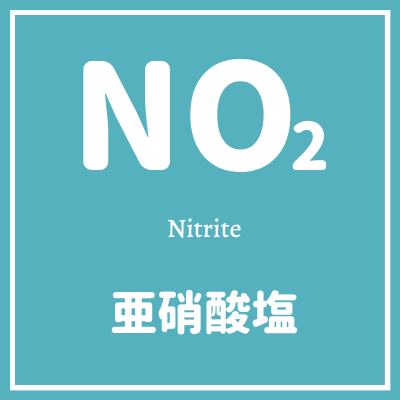 no2とは亜硝酸のこと