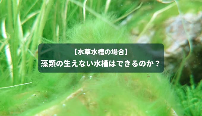 M4qbefbs5p2hbm M4qbefbs5p2hbm