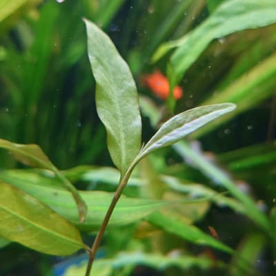 下のソーシャルリンクからフォロー
