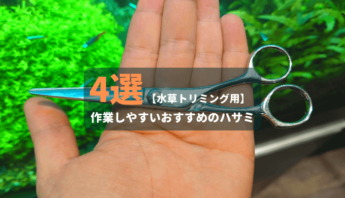 水草トリミング用】作業しやすいおすすめのハサミ4選 | Ordinary-Aquarium