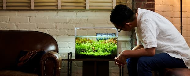 私が心からおすすめするGEXの製品10選 | Ordinary-Aquarium