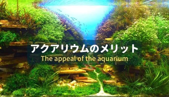 直感で選ぶ水草図鑑 Ordinary Aquarium 直感で選ぶ水草図鑑 Ordinary Aquarium