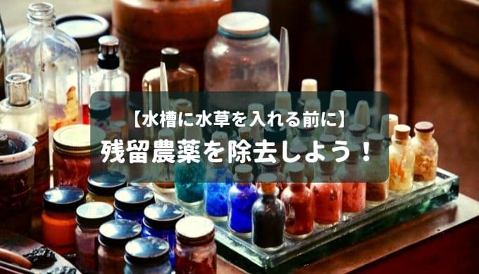 水草を入れる前に 水草についている残留農薬を除去しよう Ordinary Aquarium