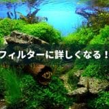 フィルターに詳しくなる!