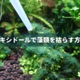 オキシドールで藻類を枯らす方法