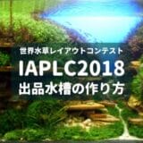 【IAPLC2018】世界水草レイアウトコンテスト出品水槽の作り方