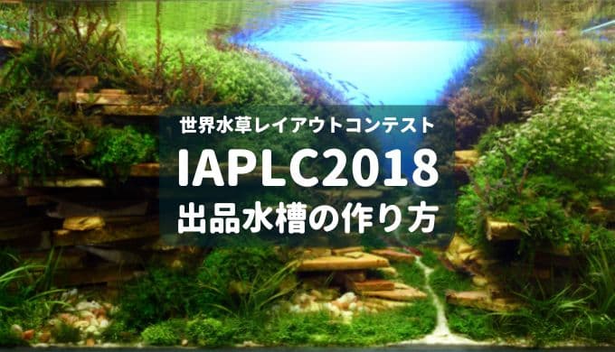 【IAPLC2018】世界水草レイアウトコンテスト出品水槽の作り方