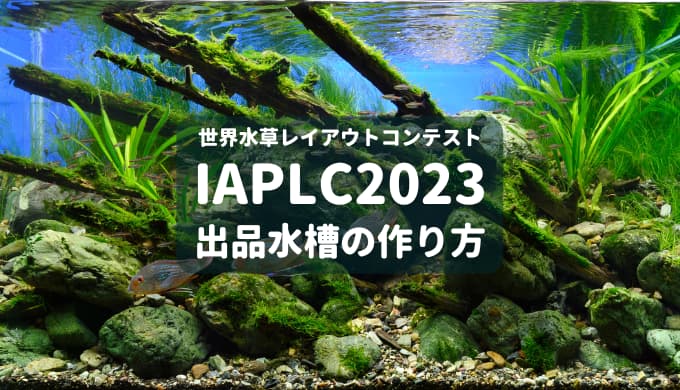 IAPLC2023出品】水のまにまにの作り方 | Ordinary-Aquarium