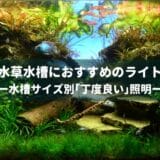 【2023年版】水草水槽におすすめのLEDライト ー水草のプロが厳選した丁度良い照明！ー