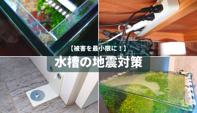 被害を最小限に 水槽の地震対策 Ordinary Aquarium