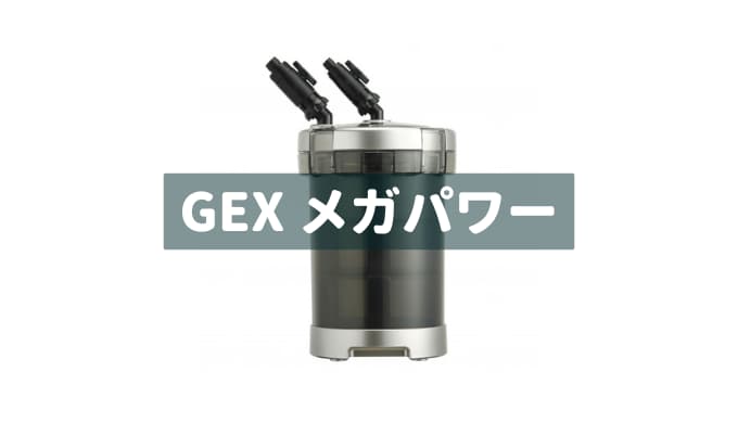 【GEX メガパワーのレビュー】 セッティングが簡単な外部式フィルター