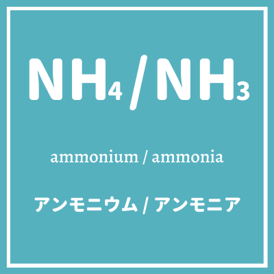 アンモニウム / アンモニア