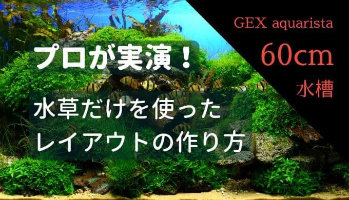 オクトジャパン 水草の葉の色を濃くする栄養液 ２５０ｍｌ828円 Ｆｅ−２６ 【在庫あり 即納】 Ｆｅ−２６