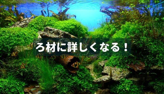 ろ過バクテリア 有機物分解菌 原生動物を詳しく解説 Ordinary Aquarium ろ過バクテリア 有機物分解菌 原生動物を詳しく解説 Ordinary Aquarium