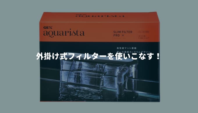 藻類予防に効果大 バイコムアルジガード ー使い方 注意点などを詳しく解説ー Ordinary Aquarium