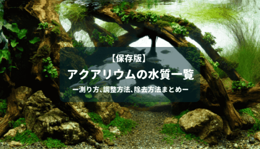 水草水槽向け Phと硬度を下げる方法 Ordinary Aquarium 水草水槽向け Phと硬度を下げる方法 Ordinary Aquarium