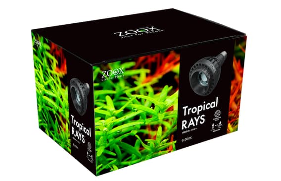 22年版 水草水槽におすすめのライト ー水草のプロが厳選したお洒落かつ育つ照明たち ー Ordinary Aquarium