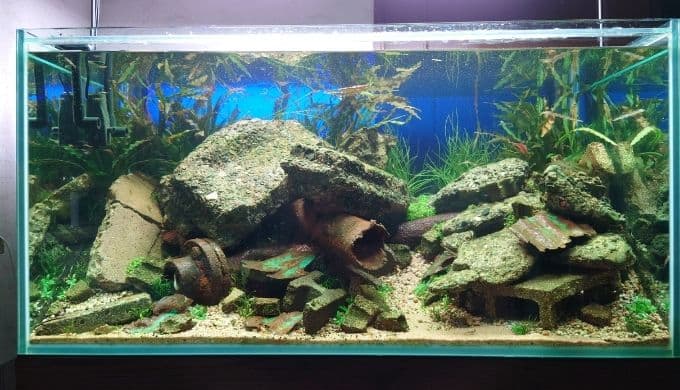 Iaplc21出品 コンクリ水槽の作り方 Ordinary Aquarium